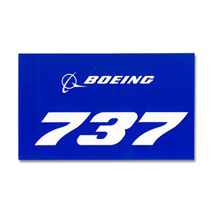 BOEING֥롼737ƥå