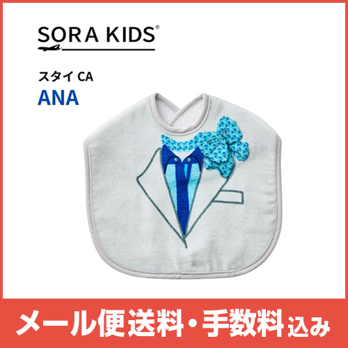 �ڥ᡼����(�ݥ�����ȡ)��������������ߡ�ANA ������(CA)