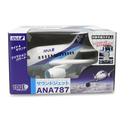 ANA787��������ɥ����å�