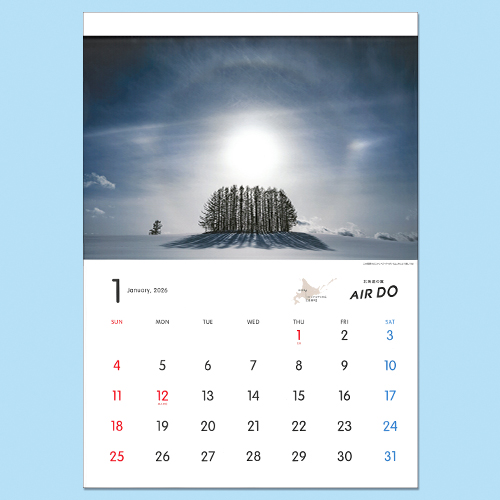 2026ǯ AIRDOꥸʥɳݥ
