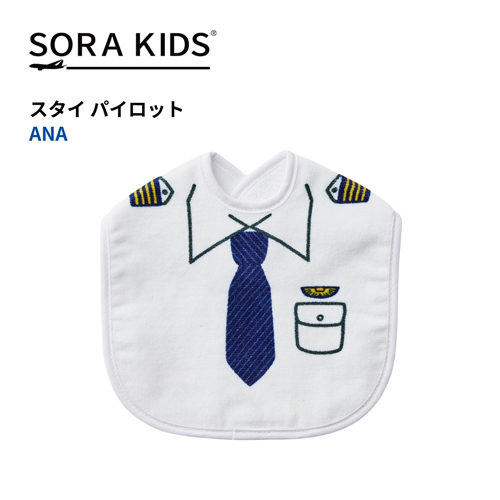 �ڥ᡼����(�ݥ�����ȡ)��������������ߡ�ANA ������(�ѥ����å�)