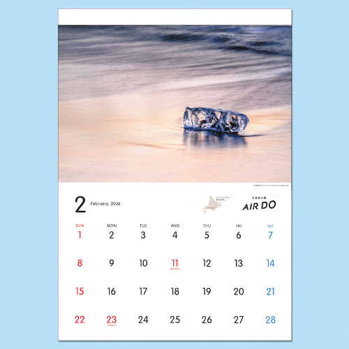 2026ǯ AIRDOꥸʥɳݥ