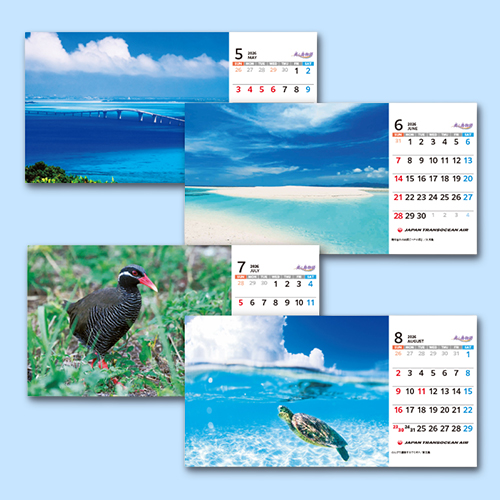 �ڥ᡼����(�ݥ�����ȡ)��������������ߡ�2026ǯ��JTA����������������ʪ��ס����Ƚ��