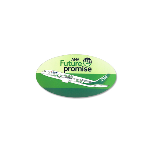 �ڥ᡼����(�ݥ�����ȡ)��������������ߡ�ANA ���ƥå������å� FuturePromise