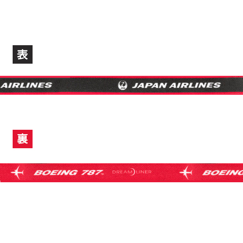 �ڥ᡼����(�ݥ�����ȡ)��������������ߡ�JAL��BOEING �ͥå����ȥ�å�Ver.3