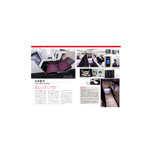 �ڥ᡼����(�ݥ�����ȡ)�������ߡۥӥ��ͥ����饹 GUIDE BOOK ������