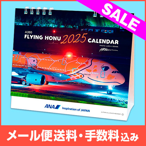 新品 AIRBUS A380 エアバス ビニールプレーン 飛行機 フロート 新品 AIRBUS A380 エアバス ビニールプレーン 飛行機 フロート