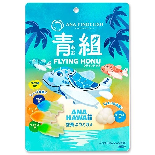ANA FINDELISH  FLYING HONU-ե饤󥰥ۥ-