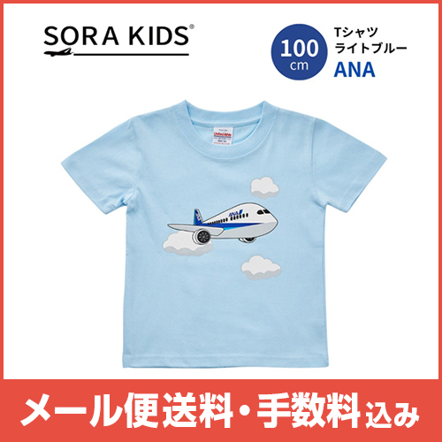 �ڥ᡼����(�ݥ�����ȡ)��������������ߡ�ANA�Ҥ�����T�����  100������(�饤�ȥ֥롼)