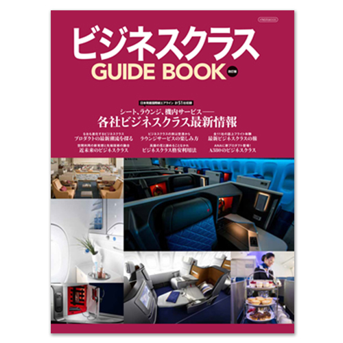 ӥͥ饹 GUIDE BOOK 