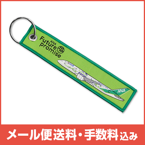 �ڥ᡼����(�ݥ�����ȡ)��������������ߡ�ANA Future promise�ե饤�ȥ���