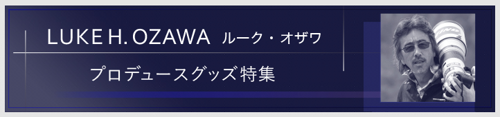 �Ҷ��̿��ȥ롼�����������ץ��ǥ塼������ʤ�ǤϤΤ�����꤬�������롢�ܳ�Ū�����饤�󥰥å��Ǥ���